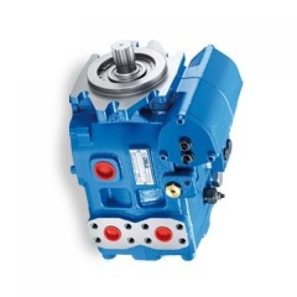 Vickers PV023R9K1JHNMFCK0021+PV023R9L1 PV 196 pompe à piston #1 image